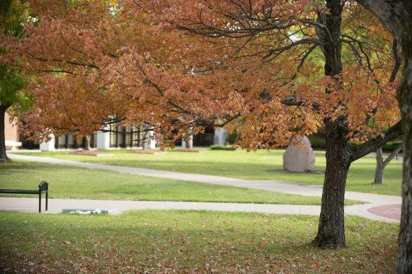 Campus Scenic - Fall 2015-64 Courtyard